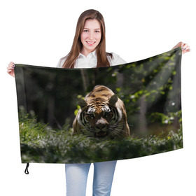 Флаг 3D с принтом Тигр в Курске, 100% полиэстер | плотность ткани — 95 г/м2, размер — 67 х 109 см. Принт наносится с одной стороны | амурский | животные | зверь | киса | кот | котенок | кошка | тигр | хищник