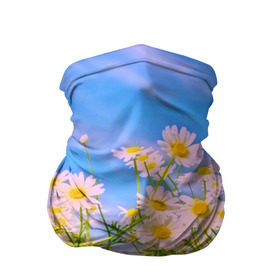 Бандана-труба 3D с принтом Ромашка в Курске, 100% полиэстер, ткань с особыми свойствами — Activecool | плотность 150‒180 г/м2; хорошо тянется, но сохраняет форму | flower | лето | полевой цветок | цветочки | цветы