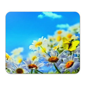 Коврик прямоугольный с принтом Ромашка полевая в Курске, натуральный каучук | размер 230 х 185 мм; запечатка лицевой стороны | Тематика изображения на принте: flower | лето | поле | полевой цветок | цветочки | цветы