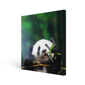 Холст квадратный с принтом Панда на ветке в Курске, 100% ПВХ |  | животные | лес | медведь | медвежонок | панда | природа