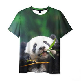 Мужская футболка 3D с принтом Панда на ветке в Курске, 100% полиэфир | прямой крой, круглый вырез горловины, длина до линии бедер | животные | лес | медведь | медвежонок | панда | природа