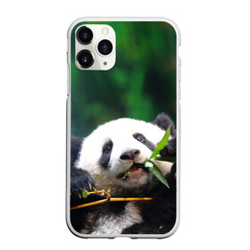Чехол для iPhone 11 Pro матовый с принтом Панда на ветке в Курске, Силикон |  | животные | лес | медведь | медвежонок | панда | природа