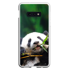 Чехол для Samsung S10E с принтом Панда на ветке в Курске, Силикон | Область печати: задняя сторона чехла, без боковых панелей | животные | лес | медведь | медвежонок | панда | природа