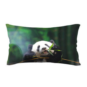Подушка 3D антистресс с принтом Панда на ветке в Курске, наволочка — 100% полиэстер, наполнитель — вспененный полистирол | состоит из подушки и наволочки на молнии | животные | лес | медведь | медвежонок | панда | природа