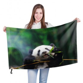 Флаг 3D с принтом Панда на ветке в Курске, 100% полиэстер | плотность ткани — 95 г/м2, размер — 67 х 109 см. Принт наносится с одной стороны | животные | лес | медведь | медвежонок | панда | природа