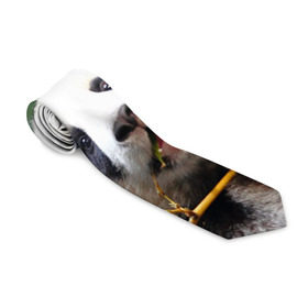 Галстук 3D с принтом Панда на ветке в Курске, 100% полиэстер | Длина 148 см; Плотность 150-180 г/м2 | животные | лес | медведь | медвежонок | панда | природа