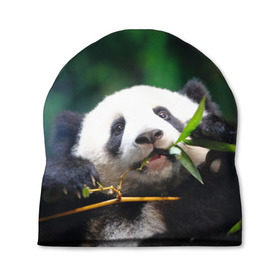 Шапка 3D с принтом Панда на ветке в Курске, 100% полиэстер | универсальный размер, печать по всей поверхности изделия | животные | лес | медведь | медвежонок | панда | природа