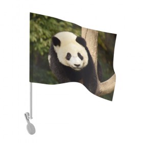 Флаг для автомобиля с принтом Панда на дереве в Курске, 100% полиэстер | Размер: 30*21 см | животные | лес | медведь | медвежонок | панда | природа