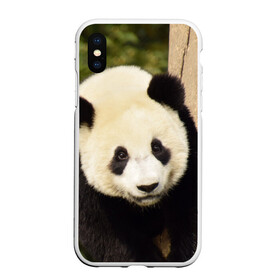Чехол для iPhone XS Max матовый с принтом Панда на дереве в Курске, Силикон | Область печати: задняя сторона чехла, без боковых панелей | животные | лес | медведь | медвежонок | панда | природа