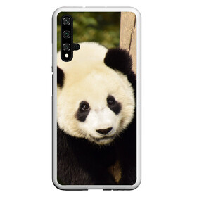 Чехол для Honor 20 с принтом Панда на дереве в Курске, Силикон | Область печати: задняя сторона чехла, без боковых панелей | животные | лес | медведь | медвежонок | панда | природа