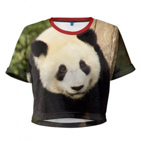 Женская футболка 3D укороченная с принтом Панда на дереве в Курске, 100% полиэстер | круглая горловина, длина футболки до линии талии, рукава с отворотами | животные | лес | медведь | медвежонок | панда | природа