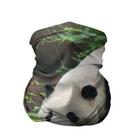 Бандана-труба 3D с принтом Панда в лесу в Курске, 100% полиэстер, ткань с особыми свойствами — Activecool | плотность 150‒180 г/м2; хорошо тянется, но сохраняет форму | животные | лес | медведь | медвежонок | панда | природа