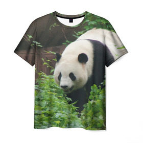 Мужская футболка 3D с принтом Панда в лесу в Курске, 100% полиэфир | прямой крой, круглый вырез горловины, длина до линии бедер | Тематика изображения на принте: животные | лес | медведь | медвежонок | панда | природа