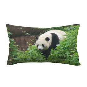 Подушка 3D антистресс с принтом Панда в лесу в Курске, наволочка — 100% полиэстер, наполнитель — вспененный полистирол | состоит из подушки и наволочки на молнии | животные | лес | медведь | медвежонок | панда | природа