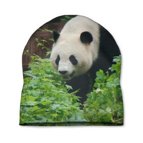 Шапка 3D с принтом Панда в лесу в Курске, 100% полиэстер | универсальный размер, печать по всей поверхности изделия | животные | лес | медведь | медвежонок | панда | природа