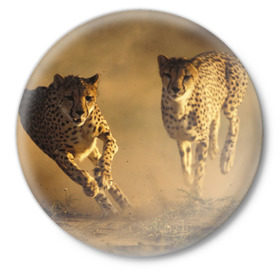 Значок с принтом Гепард в Курске,  металл | круглая форма, металлическая застежка в виде булавки | амурский | гепард | животные | зверь | киса | кот | котенок | кошка | лев | леопард | пума | рысь | серый | тигр | тигренок | хищник
