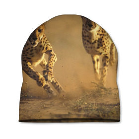 Шапка 3D с принтом Гепард в Курске, 100% полиэстер | универсальный размер, печать по всей поверхности изделия | Тематика изображения на принте: амурский | гепард | животные | зверь | киса | кот | котенок | кошка | лев | леопард | пума | рысь | серый | тигр | тигренок | хищник