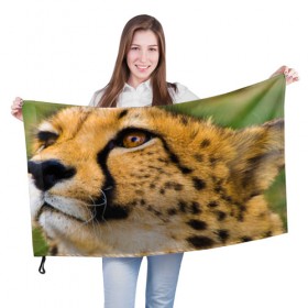 Флаг 3D с принтом Гепард в Курске, 100% полиэстер | плотность ткани — 95 г/м2, размер — 67 х 109 см. Принт наносится с одной стороны | амурский | гепард | животные | зверь | киса | кот | котенок | кошка | лев | леопард | пума | рысь | серый | тигр | тигренок | хищник