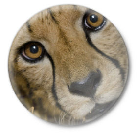 Значок с принтом Гепард в Курске,  металл | круглая форма, металлическая застежка в виде булавки | Тематика изображения на принте: амурский | гепард | животные | зверь | киса | кот | котенок | кошка | лев | леопард | пума | рысь | серый | тигр | тигренок | хищник