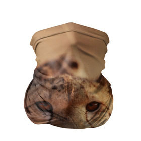 Бандана-труба 3D с принтом Гепард в Курске, 100% полиэстер, ткань с особыми свойствами — Activecool | плотность 150‒180 г/м2; хорошо тянется, но сохраняет форму | амурский | гепард | животные | зверь | киса | кот | котенок | кошка | лев | леопард | пума | рысь | серый | тигр | тигренок | хищник