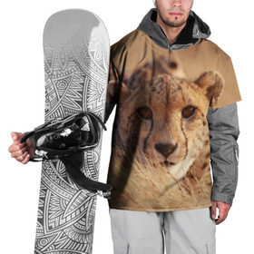 Накидка на куртку 3D с принтом Гепард в Курске, 100% полиэстер |  | амурский | гепард | животные | зверь | киса | кот | котенок | кошка | лев | леопард | пума | рысь | серый | тигр | тигренок | хищник
