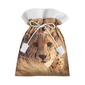 Подарочный 3D мешок с принтом Гепард в Курске, 100% полиэстер | Размер: 29*39 см | Тематика изображения на принте: амурский | гепард | животные | зверь | киса | кот | котенок | кошка | лев | леопард | пума | рысь | серый | тигр | тигренок | хищник
