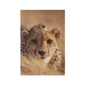 Обложка для паспорта матовая кожа с принтом Гепард в Курске, натуральная матовая кожа | размер 19,3 х 13,7 см; прозрачные пластиковые крепления | амурский | гепард | животные | зверь | киса | кот | котенок | кошка | лев | леопард | пума | рысь | серый | тигр | тигренок | хищник