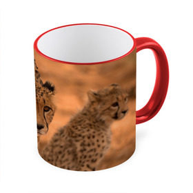 Кружка 3D с принтом Гепард в Курске, керамика | ёмкость 330 мл | Тематика изображения на принте: амурский | гепард | животные | зверь | киса | кот | котенок | кошка | лев | леопард | пума | рысь | серый | тигр | тигренок | хищник