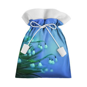 Подарочный 3D мешок с принтом Подснежники в Курске, 100% полиэстер | Размер: 29*39 см | Тематика изображения на принте: flower | весна | поле | полевой цветок | цветочки | цветы