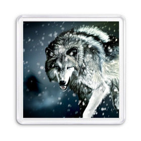 Магнит 55*55 с принтом Волк в Курске, Пластик | Размер: 65*65 мм; Размер печати: 55*55 мм | animal | art | night | painting | predator | snow | view | winter | wolf | взгляд | волк | животное | зима | искусство | картина | ночь | снег | хищник