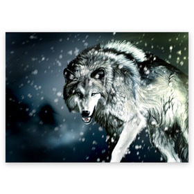 Поздравительная открытка с принтом Волк в Курске, 100% бумага | плотность бумаги 280 г/м2, матовая, на обратной стороне линовка и место для марки
 | animal | art | night | painting | predator | snow | view | winter | wolf | взгляд | волк | животное | зима | искусство | картина | ночь | снег | хищник