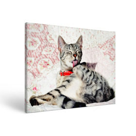 Холст прямоугольный с принтом Кошка в Курске, 100% ПВХ |  | cat | collar | heel | licking | lying | red | striped | кошка | красный | лежит | лижет | ошейник | полосатая | пятка