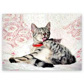 Поздравительная открытка с принтом Кошка в Курске, 100% бумага | плотность бумаги 280 г/м2, матовая, на обратной стороне линовка и место для марки
 | cat | collar | heel | licking | lying | red | striped | кошка | красный | лежит | лижет | ошейник | полосатая | пятка