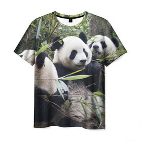 Мужская футболка 3D с принтом Семейка панд в Курске, 100% полиэфир | прямой крой, круглый вырез горловины, длина до линии бедер | Тематика изображения на принте: бамбук | животное | зверь | косолапый | лес | медведи | медведь | миша | мишка | мишутка | млекопитающее | панда | природа | трое