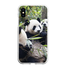 Чехол для iPhone XS Max матовый с принтом Семейка панд в Курске, Силикон | Область печати: задняя сторона чехла, без боковых панелей | бамбук | животное | зверь | косолапый | лес | медведи | медведь | миша | мишка | мишутка | млекопитающее | панда | природа | трое
