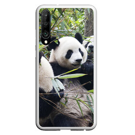 Чехол для Honor P30 с принтом Семейка панд в Курске, Силикон | Область печати: задняя сторона чехла, без боковых панелей | Тематика изображения на принте: бамбук | животное | зверь | косолапый | лес | медведи | медведь | миша | мишка | мишутка | млекопитающее | панда | природа | трое