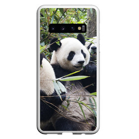 Чехол для Samsung Galaxy S10 с принтом Семейка панд в Курске, Силикон | Область печати: задняя сторона чехла, без боковых панелей | Тематика изображения на принте: бамбук | животное | зверь | косолапый | лес | медведи | медведь | миша | мишка | мишутка | млекопитающее | панда | природа | трое