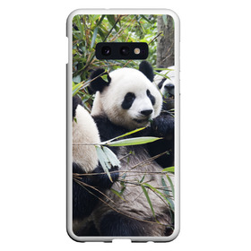 Чехол для Samsung S10E с принтом Семейка панд в Курске, Силикон | Область печати: задняя сторона чехла, без боковых панелей | бамбук | животное | зверь | косолапый | лес | медведи | медведь | миша | мишка | мишутка | млекопитающее | панда | природа | трое