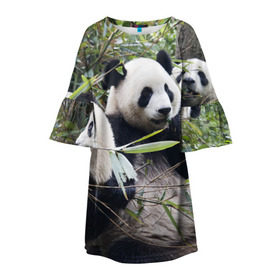 Детское платье 3D с принтом Семейка панд в Курске, 100% полиэстер | прямой силуэт, чуть расширенный к низу. Круглая горловина, на рукавах — воланы | бамбук | животное | зверь | косолапый | лес | медведи | медведь | миша | мишка | мишутка | млекопитающее | панда | природа | трое