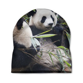 Шапка 3D с принтом Семейка панд в Курске, 100% полиэстер | универсальный размер, печать по всей поверхности изделия | Тематика изображения на принте: бамбук | животное | зверь | косолапый | лес | медведи | медведь | миша | мишка | мишутка | млекопитающее | панда | природа | трое