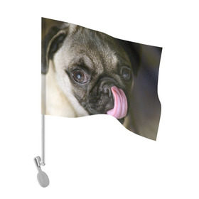 Флаг для автомобиля с принтом Мопс в Курске, 100% полиэстер | Размер: 30*21 см | бульдог | мопс | мопсик | мопсы | пес | песик | песики | собака | собаки | собачка