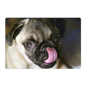 Магнитный плакат 3Х2 с принтом Мопс в Курске, Полимерный материал с магнитным слоем | 6 деталей размером 9*9 см | бульдог | мопс | мопсик | мопсы | пес | песик | песики | собака | собаки | собачка