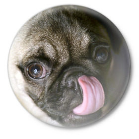 Значок с принтом Мопс в Курске,  металл | круглая форма, металлическая застежка в виде булавки | бульдог | мопс | мопсик | мопсы | пес | песик | песики | собака | собаки | собачка