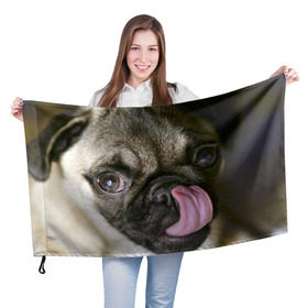 Флаг 3D с принтом Мопс в Курске, 100% полиэстер | плотность ткани — 95 г/м2, размер — 67 х 109 см. Принт наносится с одной стороны | бульдог | мопс | мопсик | мопсы | пес | песик | песики | собака | собаки | собачка