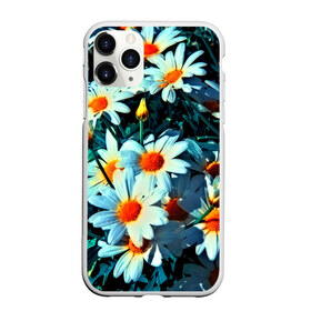 Чехол для iPhone 11 Pro матовый с принтом Полевые ромашки в Курске, Силикон |  | flower | лето | полевой цветок | цветочки | цветы