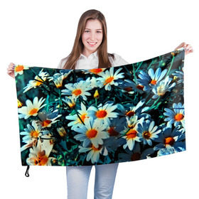 Флаг 3D с принтом Полевые ромашки в Курске, 100% полиэстер | плотность ткани — 95 г/м2, размер — 67 х 109 см. Принт наносится с одной стороны | flower | лето | полевой цветок | цветочки | цветы
