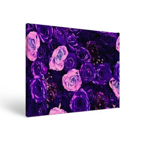 Холст прямоугольный с принтом Фиолетовые розы в Курске, 100% ПВХ |  | Тематика изображения на принте: flower | прикцветочки | розы | цветы