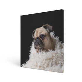 Холст квадратный с принтом Мопс в Курске, 100% ПВХ |  | Тематика изображения на принте: бульдог | мопс | мопсик | мопсы | пес | песик | песики | собака | собаки | собачка