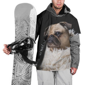 Накидка на куртку 3D с принтом Мопс в Курске, 100% полиэстер |  | бульдог | мопс | мопсик | мопсы | пес | песик | песики | собака | собаки | собачка