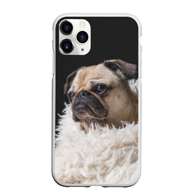 Чехол для iPhone 11 Pro матовый с принтом Мопс в Курске, Силикон |  | бульдог | мопс | мопсик | мопсы | пес | песик | песики | собака | собаки | собачка